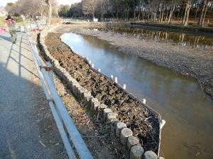 作業後の大池北側の浅場