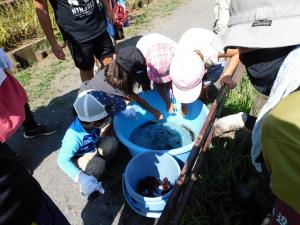 市民参加型イベント「みんなで水辺守　アメリカザリガニ駆除編」の様子