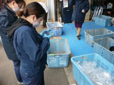 選別したプラスチックの測量作業