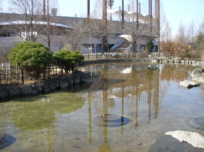 水辺の広場