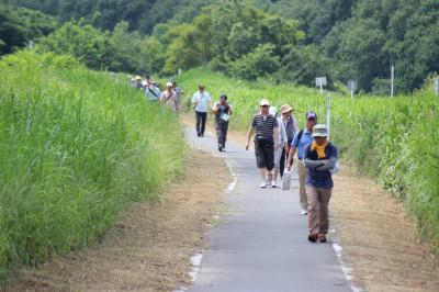 荒川沿いのサイクリングロードを歩く参加者１