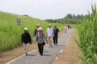 荒川沿いのサイクリングロードを歩く参加者２