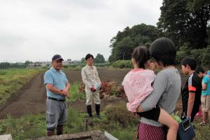 田植え