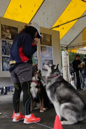 防災コーナーで待てをする犬と飼い主