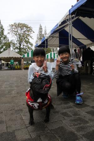 会場を満喫する犬と飼い主