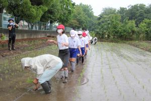 田植え