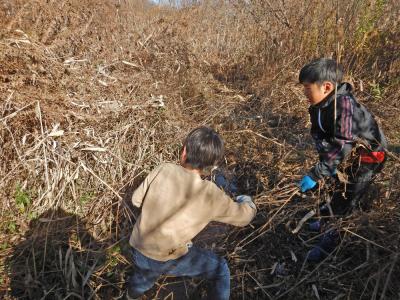 一生懸命に草を刈る子どもたち