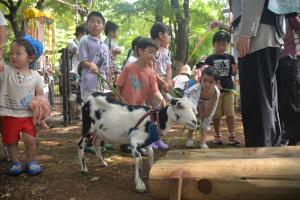 干し草をあげる子どもたち